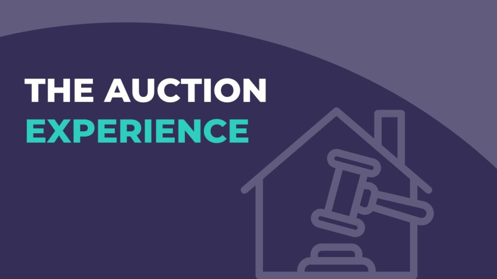 Auction Experience