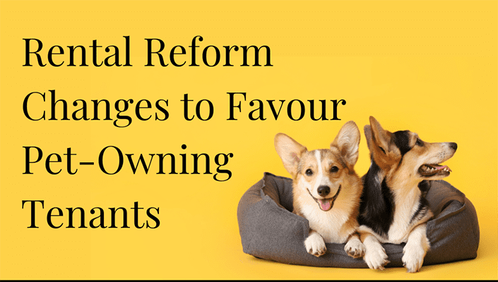 pet owning tenants